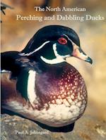 The North American Perching and Dabbling Ducks