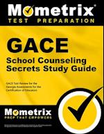 Gace School Counseling Secrets Study Guide