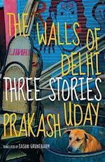 The Walls of Delhi