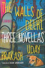 The Walls of Delhi