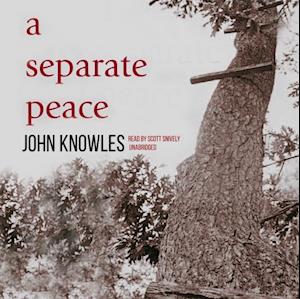 Separate Peace