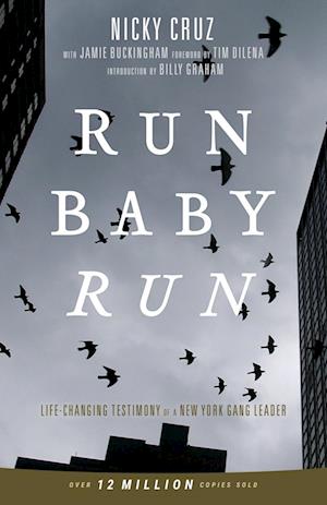 Run Baby Run-New Edition