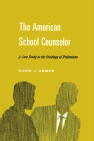 American School Counselor