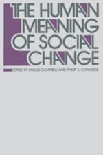 Human Meaning of Social Change