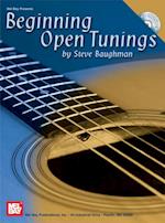 Beginning Open Tunings