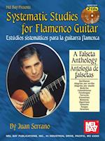 Systematic Studies for Flamenco Guitar