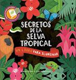 Secretos de la Selva Tropical