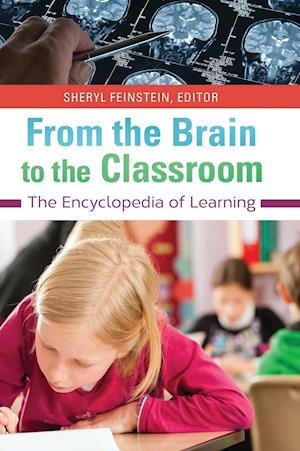 From the Brain to the Classroom
