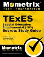 TExES Special Education Supplemental (163) Secrets Study Guide