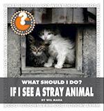 What Should I Do? If I See a Stray Animal