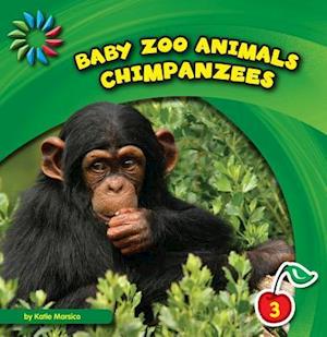 Chimpanzees