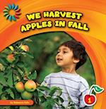 We Harvest Apples in Fall