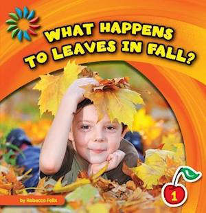 What Happens to Leaves in Fall?