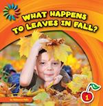 What Happens to Leaves in Fall?