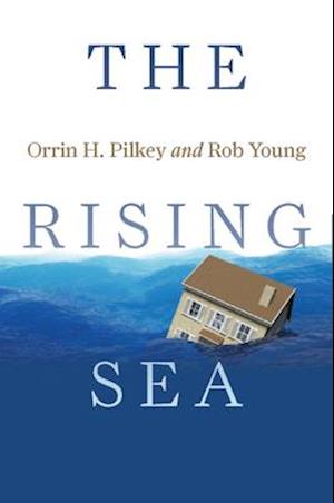 The Rising Sea