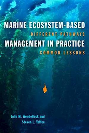 Marine Ecosystem-Based Management in Practice