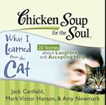 Chicken Soup for the Soul: What I Learned from the Cat - 20 Stories about Laughter and Accepting Help