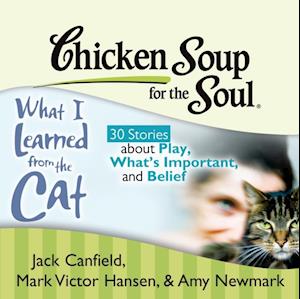 Chicken Soup for the Soul: What I Learned from the Cat - 30 Stories about Play, What's Important, and Belief