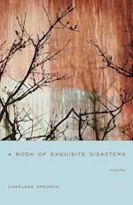 A Book of Exquisite Disasters