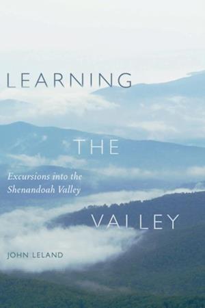 Learning the Valley