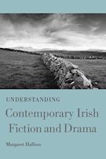 Hallissy, M:  Understanding Contemporary Irish Fiction and D