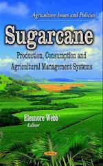 Sugarcane