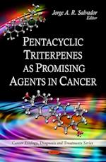 Pentacyclic Triterpenes as Promising Agents in Cancer