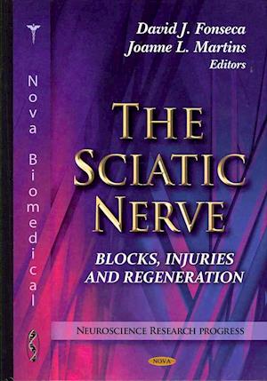 Sciatic Nerve