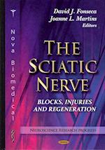 Sciatic Nerve