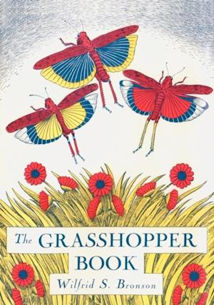 Grasshopper Book