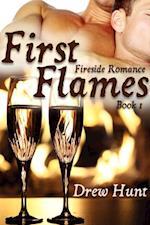 Fireside Romance Book 1: First Flames