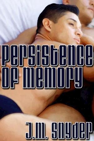 Persistence of Memory