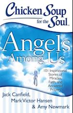 Chicken Soup for the Soul: Angels Among Us