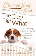 Chicken Soup for the Soul: The Dog Did What?