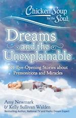 Chicken Soup for the Soul: Dreams and the Unexplainable