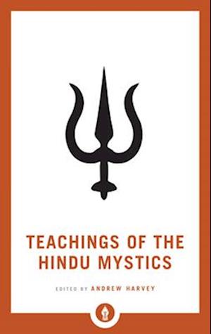 Teachings of the Hindu Mystics