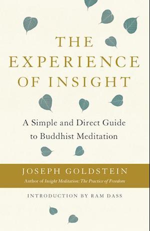 The Experience of Insight