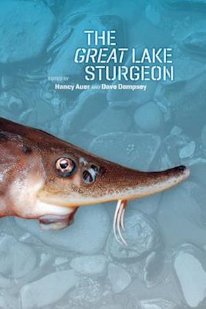 The Great Lake Sturgeon