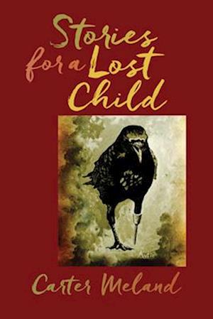 Stories for a Lost Child