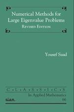 Numerical Methods for Large Eigenvalue Problems