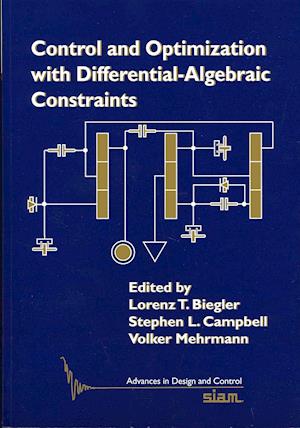 Control and Optimization with Differential-Algebraic Constraints