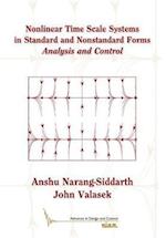 Nonlinear Time Scale Systems in Standard and Nonstandard Forms