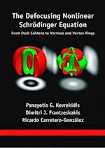 The Defocusing Nonlinear Schrodinger Equation