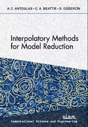 Interpolatory Methods for Model Reduction