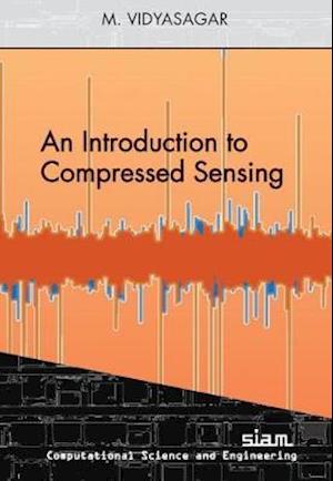 An Introduction to Compressed Sensing