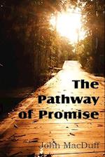 The Pathway of Promise, Words of Comfort to the Christian Pilgrim