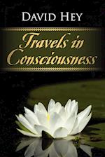 Travels in Consciousness