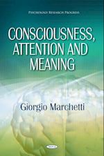 Consciousness, Attention and Meaning