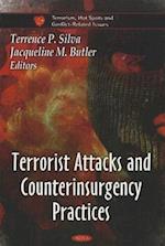 Terrorist Attacks and Counterinsurgency Practices