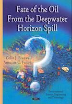 Fate Of The Oil From The Deepwater Horizon Spill